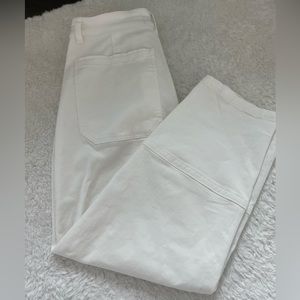 Everlane Utility Barrel Pant